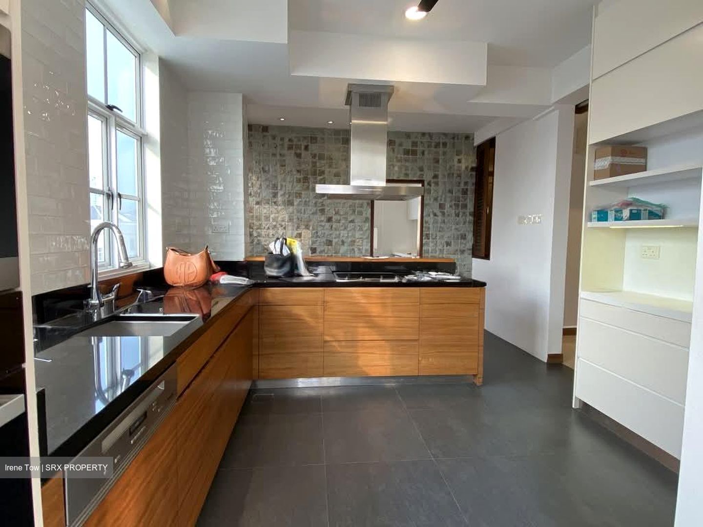 La Suisse (D11), Condominium #560549831